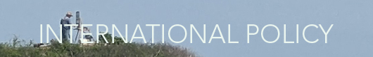 International Policy